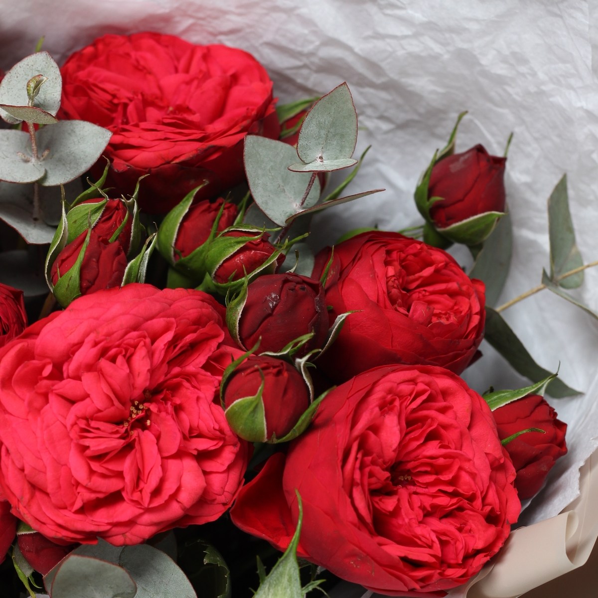 buket pionovidnyh roz 646